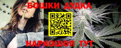 молекула духа Можайск