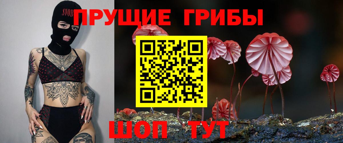 Галлюциногенные грибы GOLDEN TEACHER Северск