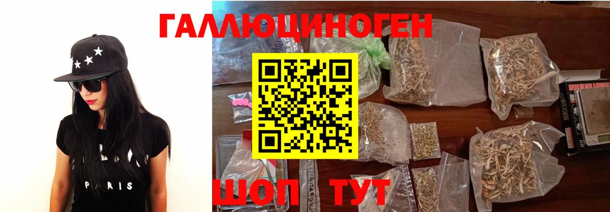 Галлюциногенные грибы мицелий  Вход с VPN  Галлюциногенные грибы Psilocybe  Северск 